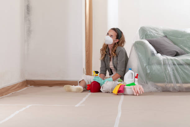 Reliable Mold Testing contractor in Okemos, MI by WQB Mold Removal